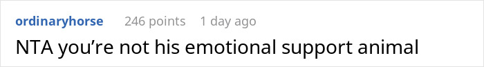 Screenshot of a Reddit comment discussing emotional support with 246 points and mentioning family relationship issues.