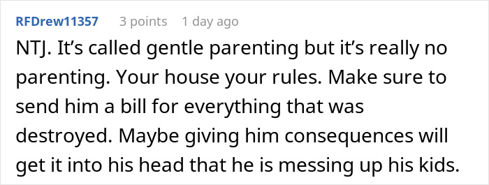 Comment discussing no consequences parenting and suggesting setting house rules to address sibling conflict involving brother and his kids.