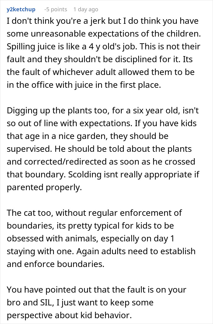 Screenshot of a forum comment discussing no consequences parenting and sibling conflicts involving kids and boundary setting.