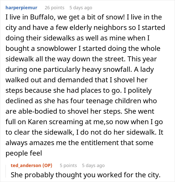 Guy Shovels Snow For Elderly Neighbor, Random Lady Decides He&rsquo;s The HOA And Orders Her Walkway Done
