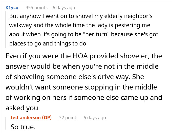 Guy Shovels Snow For Elderly Neighbor, Random Lady Decides He&rsquo;s The HOA And Orders Her Walkway Done