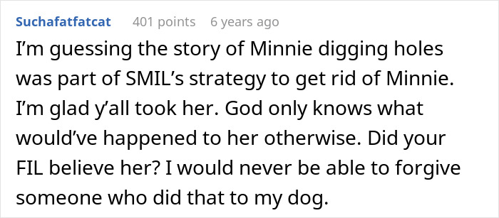 Comment discussing MIL pretending dog passed away to get rid of him and family's reaction after finding dog at shelter.