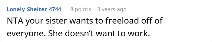 Comment stating sister refuses to babysit or clean, highlighting woman&rsquo;s child-free boundary and refusal to house her anymore.