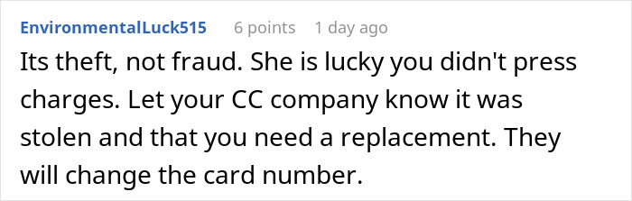 Reddit comment explaining the difference between theft and fraud in cousin card fraud vacation rental situations.