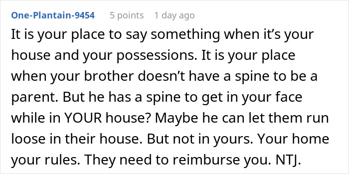 Comment discussing sibling kicking out brother and his kids due to no consequences parenting and house rule enforcement.