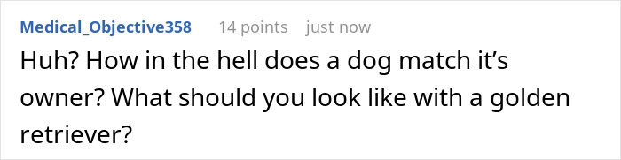 Screenshot of a comment questioning how a dog is supposed to match its owner, referencing a golden retriever.
