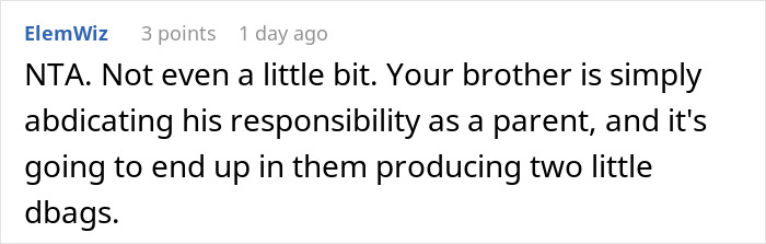Screenshot of a Reddit comment discussing no consequences parenting and a sibling kicking out brother and his kids.