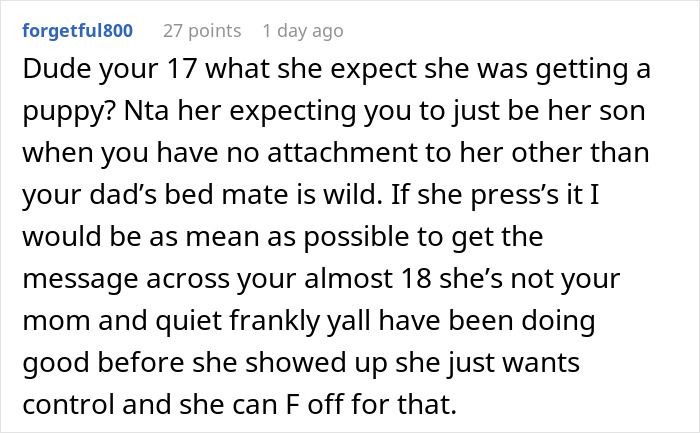 Reddit comment discussing a woman trying to enforce family rules on her boyfriend&rsquo;s son who doesn&rsquo;t live with them.