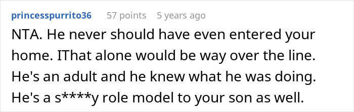Screenshot of an online comment criticizing a cheating ex-wife's boyfriend for stealing expensive Lego sets and causing family conflict.