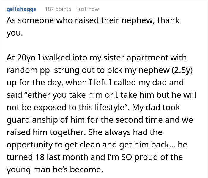 Reddit user shares story of raising nephew after sister's lifestyle, highlighting responsibility and guardianship challenges.