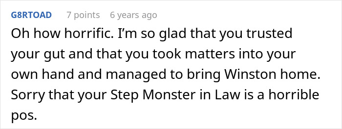 Comment expressing relief after discovering dog was alive despite MIL pretending he passed away to get rid of him.