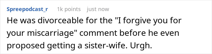 Comment screenshot showing a user discussing a husband’s controversial baby-making plan with a sister-wife suggestion, highlighting infertility issues.