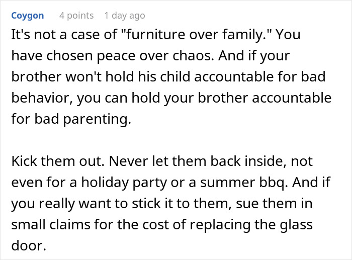 Text comment explaining sibling relationship conflict and no consequences parenting leading to kicking out brother and kids.