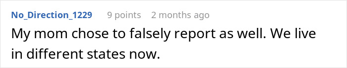 Screenshot of an online comment describing a mother retaliating against postpartum boundaries by falsely reporting and causing family separation.