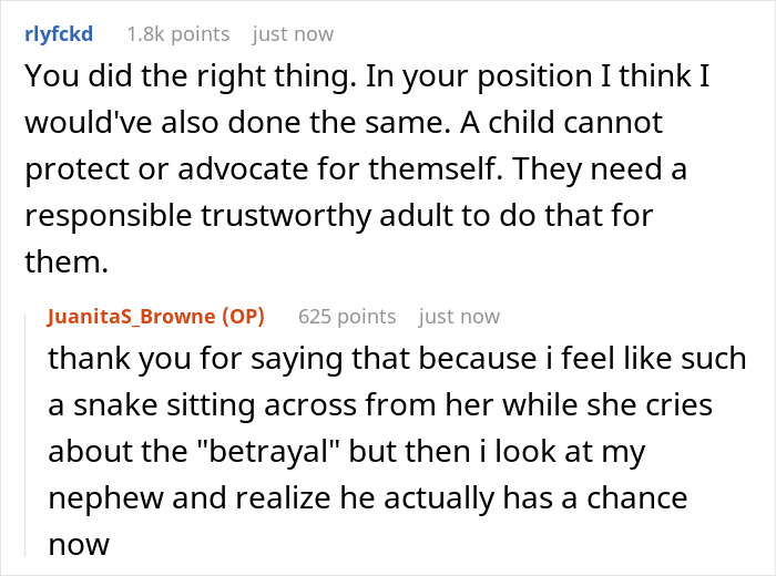 Online discussion about lady secretly reporting her sister to CPS to ensure responsibility and protect her nephew.