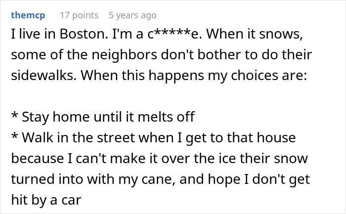 Man using snowblower selectively clearing driveway, making sure mean neighbor&rsquo;s driveway stays snowed in during winter.