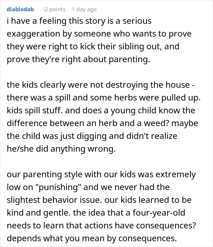 Reddit user discussing sibling conflict and no consequences parenting after brother and his kids were kicked out.