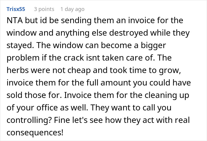 Comment urging to invoice brother and kids for damages after no consequences parenting causes problems and sibling kicks them out.