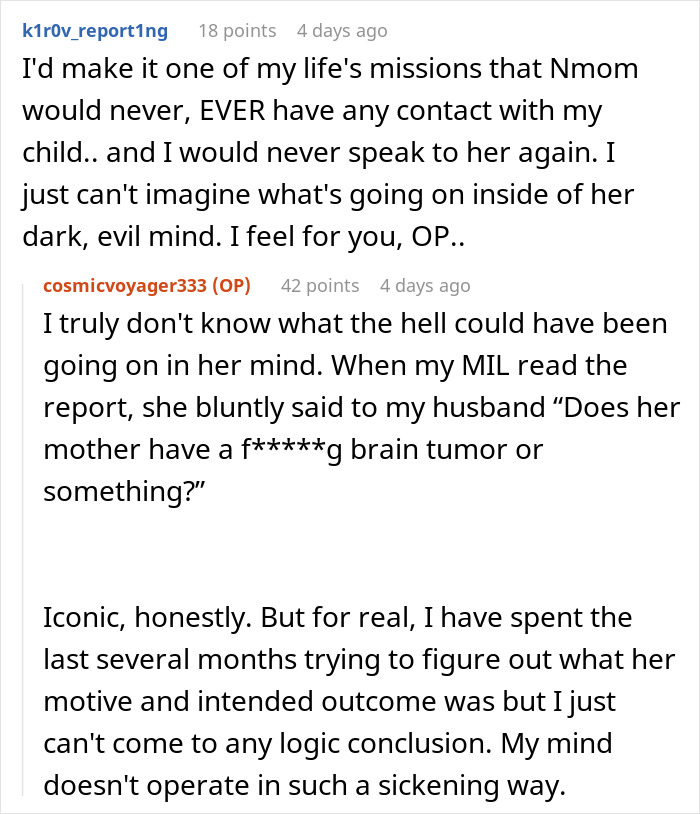 Reddit comments discussing a mother’s horrific retaliation against postpartum boundaries and the emotional impact involved.