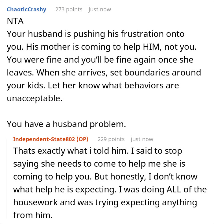 Reddit conversation discussing a lazy hubby inviting mom to help him, while the wife goes on strike and dumps chores on him.