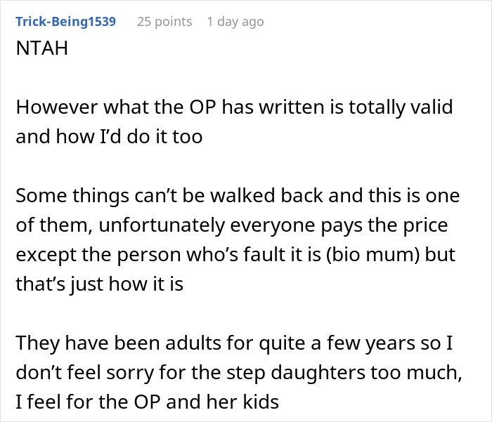 Commenter shares opinion on stepdaughters cheating and lies impacting a broken relationship and family dynamics.