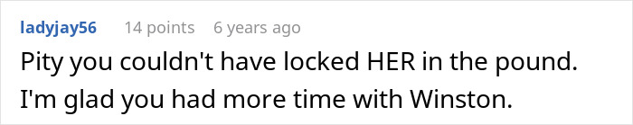 Comment about family discovering dog at shelter after MIL pretends pet passed away to get rid of him.