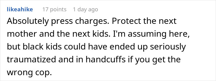 Comment discussing pressing charges after an unhinged mom stops a young mom with kids from leaving a trampoline park.