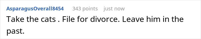 Screenshot of an online comment about estranged wife checking on jailed hubby&rsquo;s cats and finding a black thong.