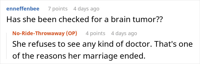 Screenshot of a Reddit conversation about a woman going berserk on her brother over parenting meddling.