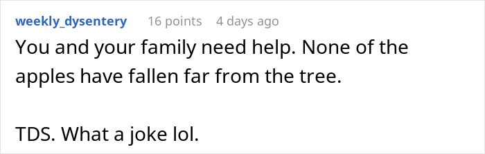 Comment discussing family dynamics and criticism, highlighting a woman&rsquo;s anger at her brother meddling in parenting issues.
