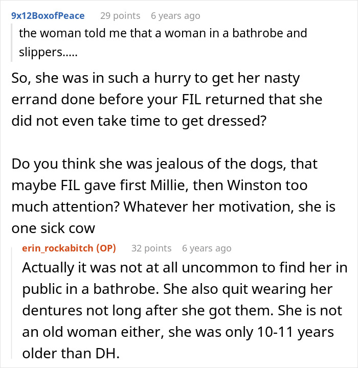 Reddit conversation discussing MIL pretending dog passed away to get rid of him and family finding dog at shelter.