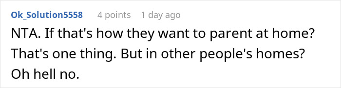 Screenshot of a user comment reacting to sibling kicking out brother and his kids over no consequences parenting issues.