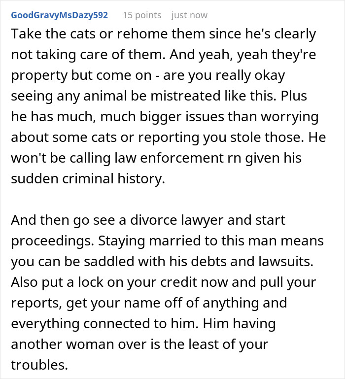 Comment advising to take care of jailed husband's cats and consider legal actions amid his criminal issues.