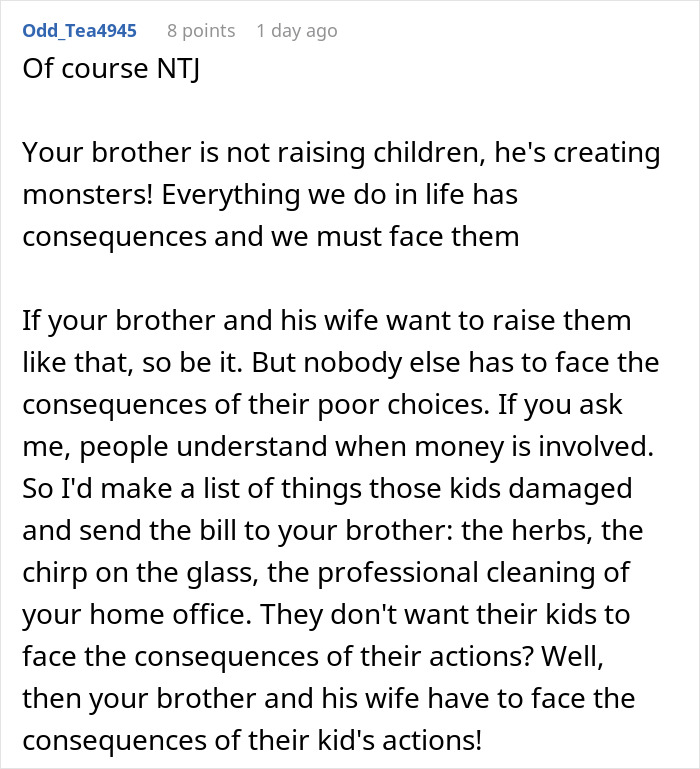 Reddit comment discussing sibling kicking out brother and kids after no consequences parenting leads to problems and consequences faced.