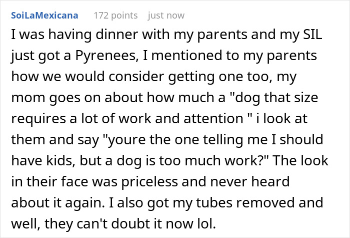 Mom Pressures Childfree Daughter To &ldquo;Give Birth,&rdquo; Backtracks Fast When Adoption Enters The Chat