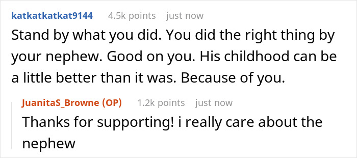 Screenshot of a discussion where a lady secretly reports her sister to CPS to improve responsibility and protect her nephew.