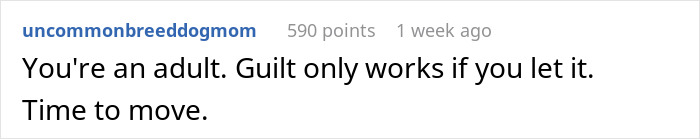 Comment about moving on and letting go of guilt related to sister family parenting drama in an online discussion.