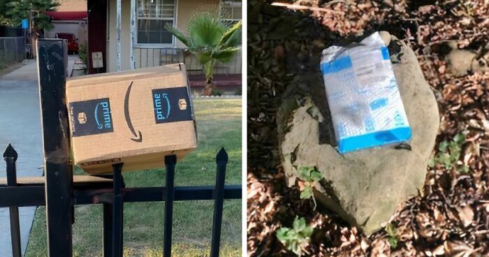 55 Of The Most Hilarious Delivery Confirmation Pics Drivers Sent Out To Customers