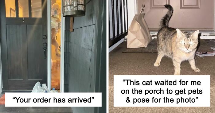 55 Of The Most Hilarious Delivery Confirmation Pics Drivers Sent Out To Customers