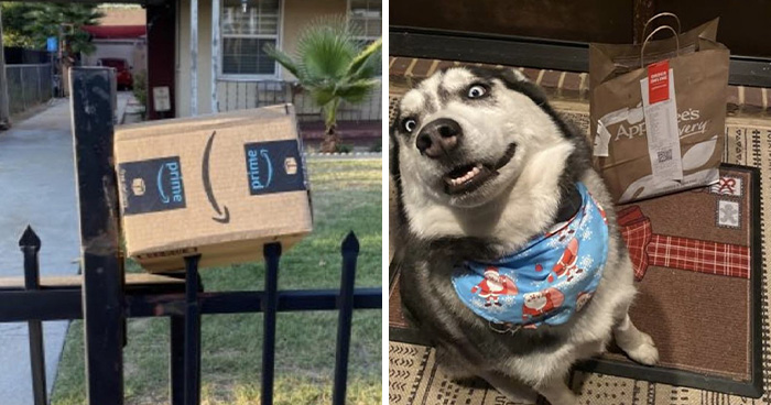 People Are Sharing The Pics They Received From Delivery Drivers And These 55 Are Absolutely Hilarious