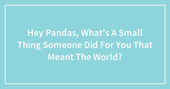 Hey Pandas, What’s A Small Thing Someone Did For You That Meant The World?