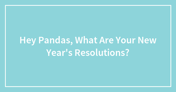 Hey Pandas, What Are Your New Year’s Resolutions?