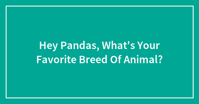 Hey Pandas, What’s Your Favorite Breed Of Animal?