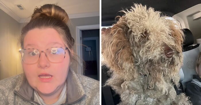 Vet Tech Charged And Fired After Rescuing Abandoned Dog During Snowstorm