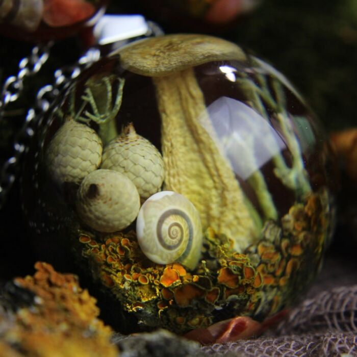 I Spent Over Five Years Perfecting My “Dome Technique” To Turn Tiny Forest Fragments Into Optical Art