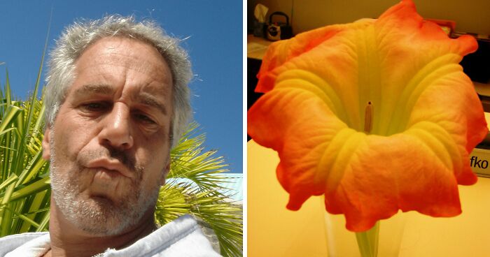 New Epstein Emails Reveal Horrifying Plants He Grew And How He May Have Used Them On Victims