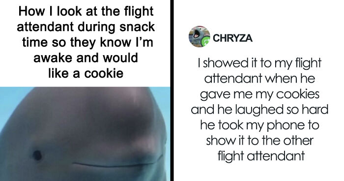 79 Funny And Clever Post That Took Off From Tumblr And Conquered The Internet (New Pics)