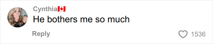 Comment from Cynthia with a Canadian flag emoji saying he bothers me so much, related to Dax Shepard not a fan of Kristen Bell.