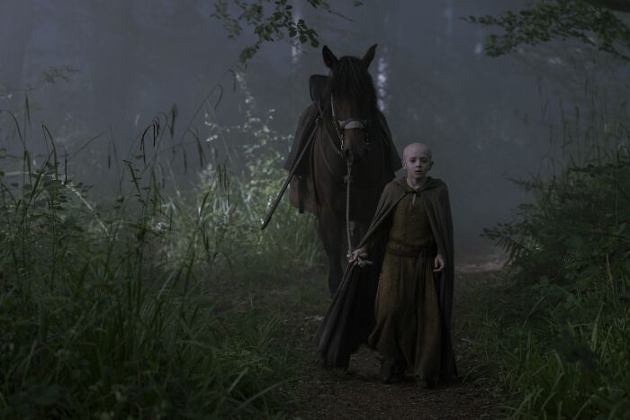 Young boy dressed in medieval cloak walking through dark forest, leading a saddled horse in a mysterious prophecy scene. - 4