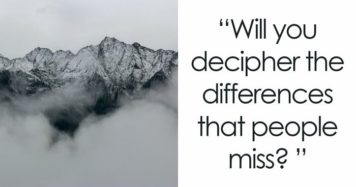 Only The Most Clever Folks Will Know The Difference Between All 30 Commonly Confused Items